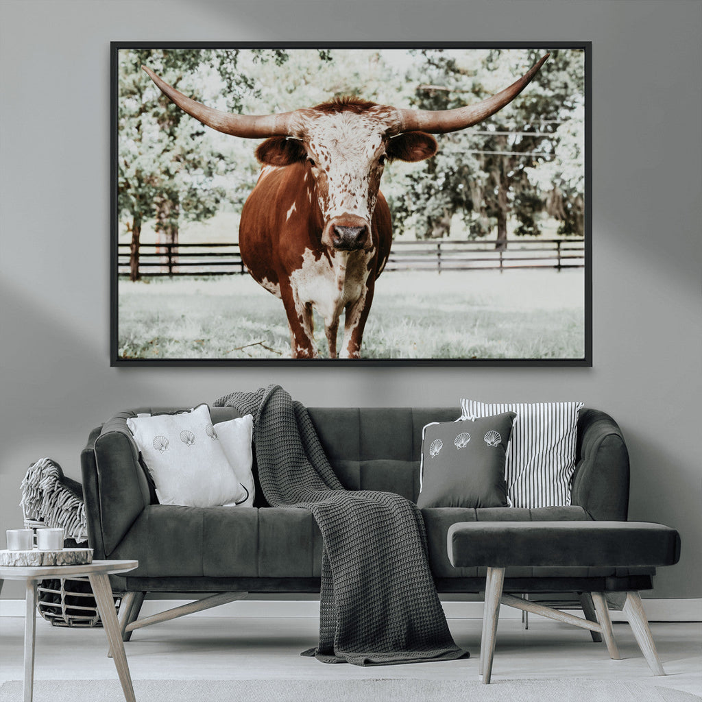 Texas Longhorn Wall Art Canvas Print | Framed Spotted Brown and White Bull