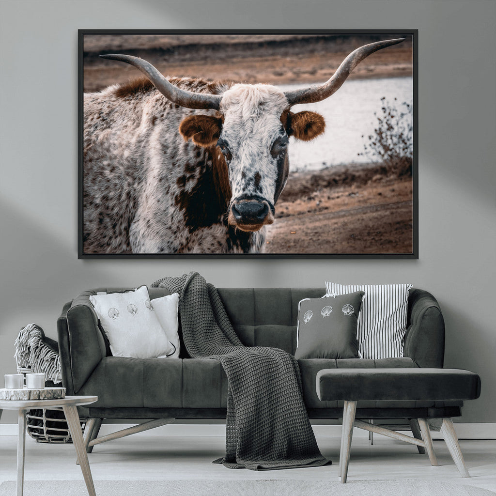 Texas Longhorn Wall Art Canvas Print | Framed Brown and White Spotted Longhorn