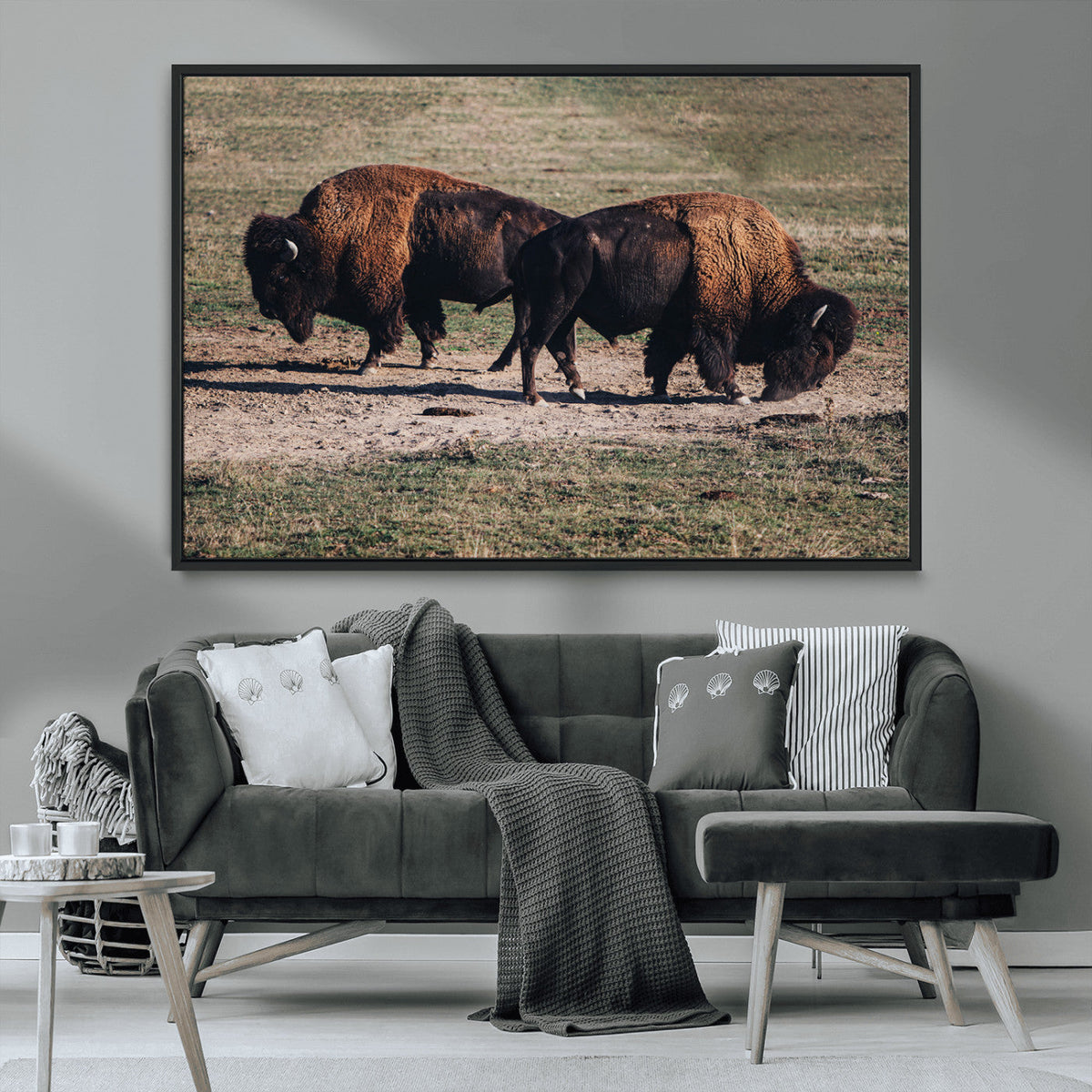Bison Wall Art Canvas Print, Framed Western Wildlife Modern Ranch