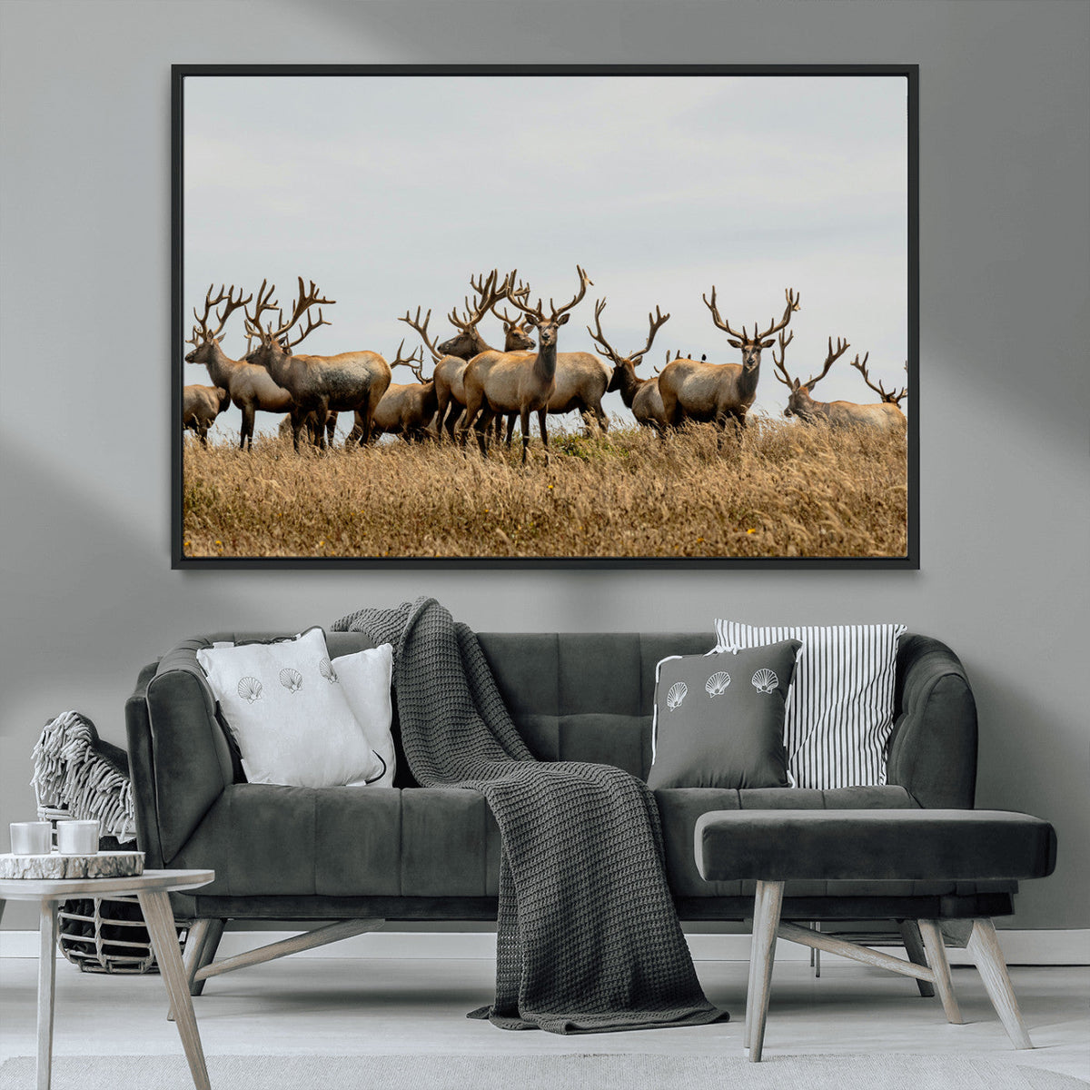 Elk Herd Wall Art Canvas Print, Framed Wildlife Photography Art, Majestic Antlers Rustic Wildlife Decor