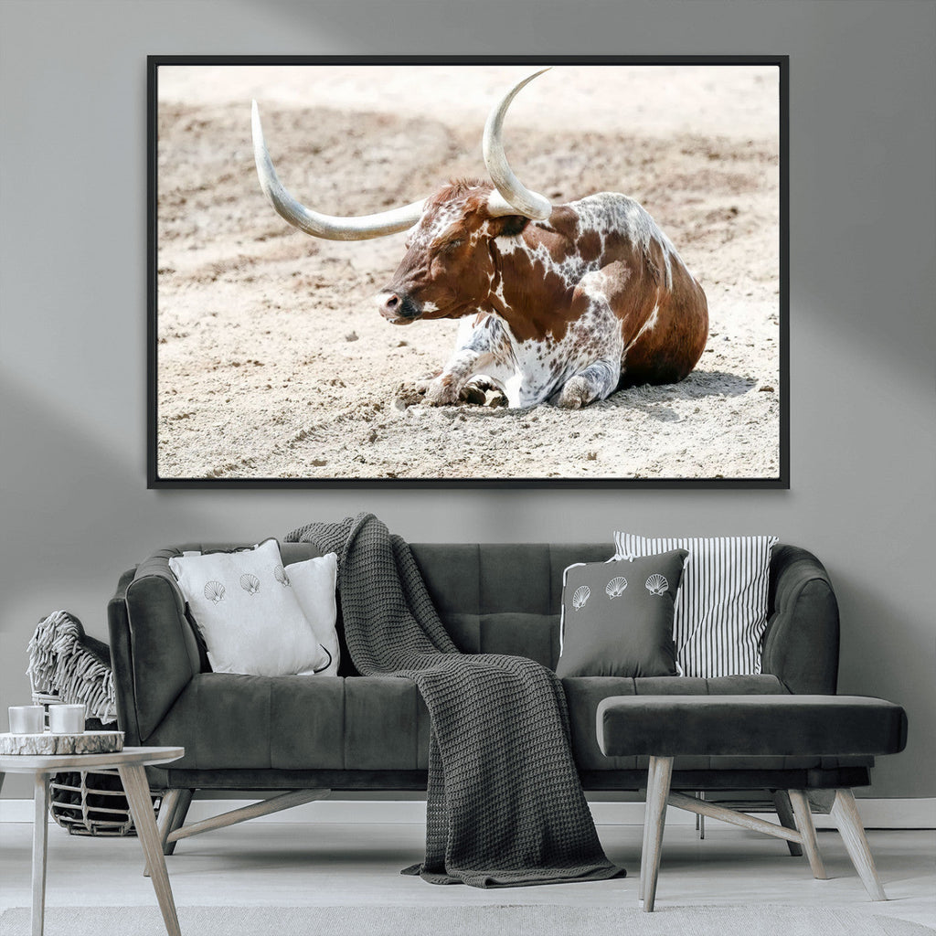 Majestic Longhorn Wall Art Canvas Print, Resting on Sunlit Desert Ground