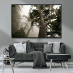 Misty Forest Wall Art Canvas Print, Framed Tall Trees in Foggy Atmosphere