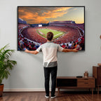 Dooley Stadium Wall Art, Sports Arena Canvas Print, Dooley Field, Framed and Ready to Hang