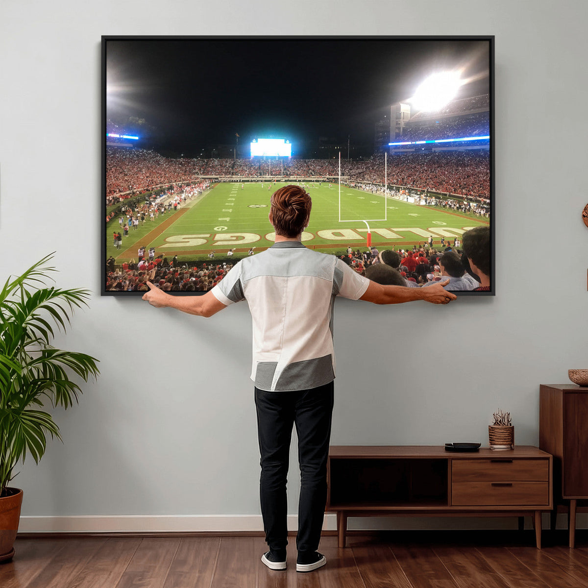 Dooley Stadium Wall Art, Sports Arena Panoramic Canvas