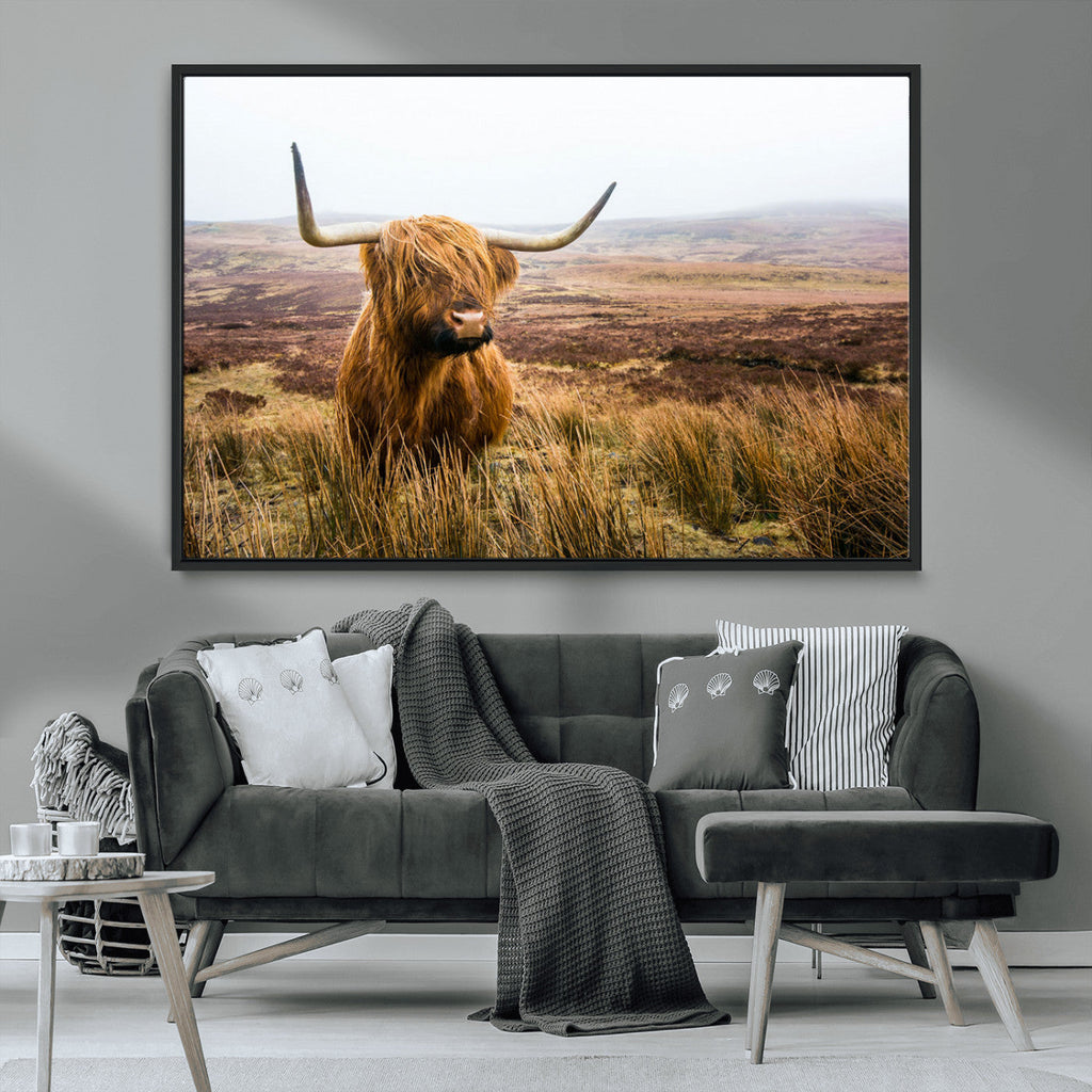 Scottish Highland Cow Canvas Wall Art, Rustic Farmhouse Decor