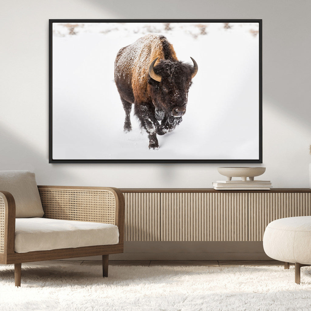 Bison Winter Wall Art Canvas Print For Farmhouse Decor