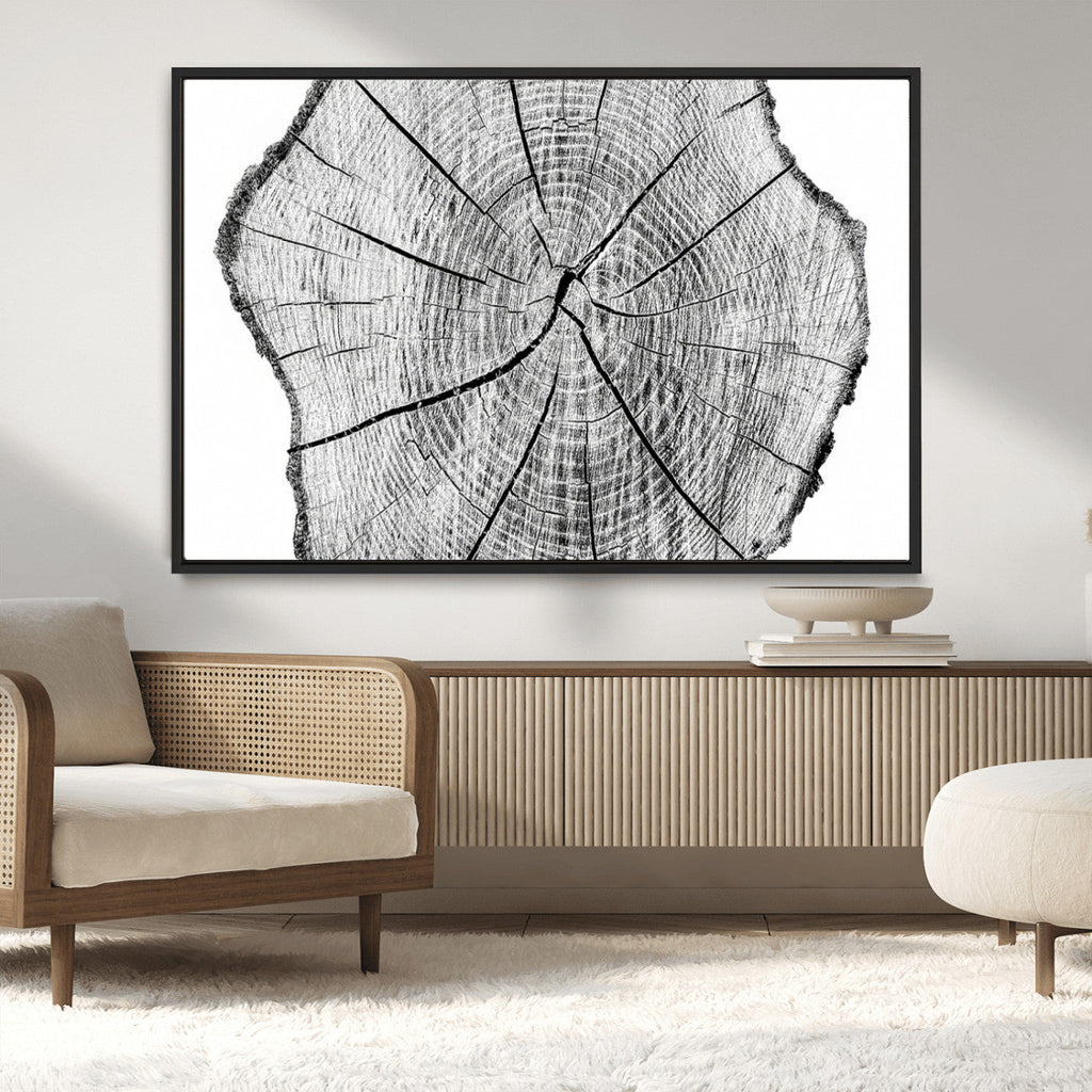 Rustic Tree Ring Wall Art Canvas Print, Framed and Ready to Hang