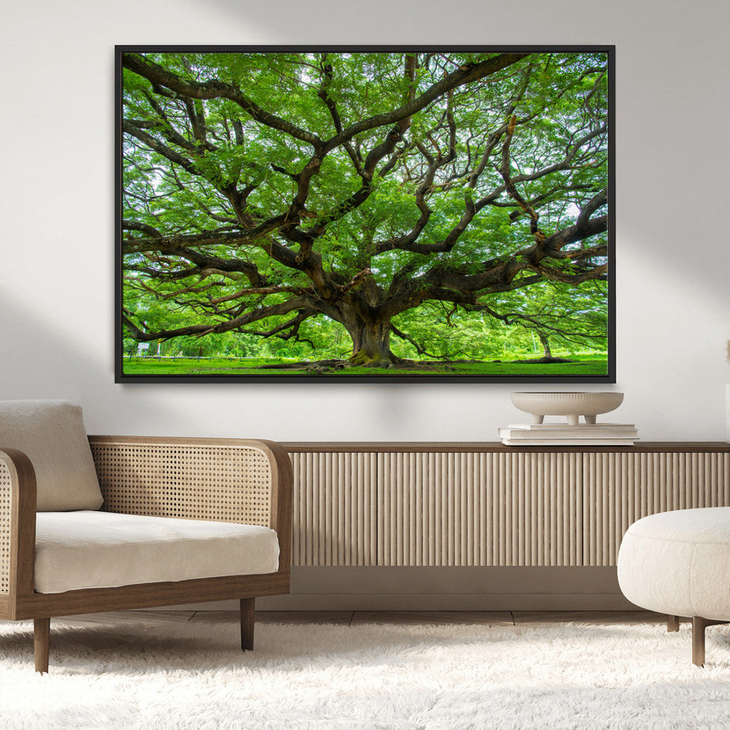 Ancient Tree Wall Art Canvas Print, Framed Sprawling Branches