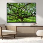 Ancient Tree Wall Art Canvas Print, Framed Sprawling Branches
