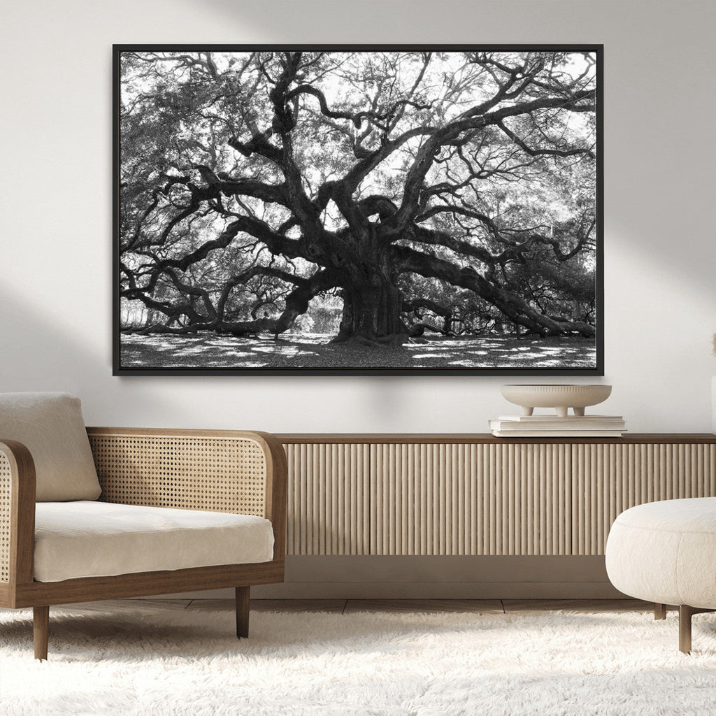 Ancient Oak Wall Art Canvas Print | Gnarled Tree with Twisted Branches