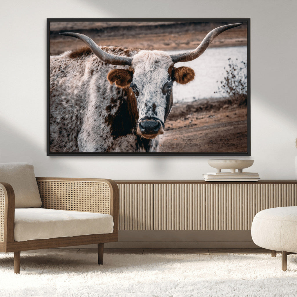 Texas Longhorn Wall Art Canvas Print | Framed Brown and White Spotted Longhorn