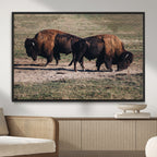 Bison Wall Art Canvas Print, Framed Western Wildlife Modern Ranch