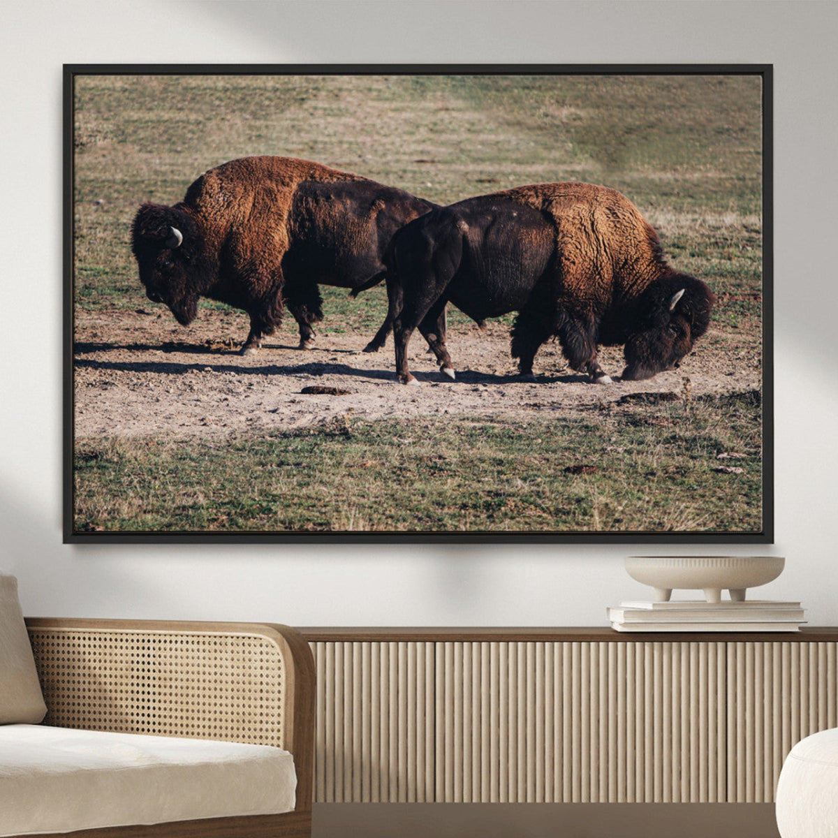Bison Wall Art Canvas Print, Framed Western Wildlife Modern Ranch
