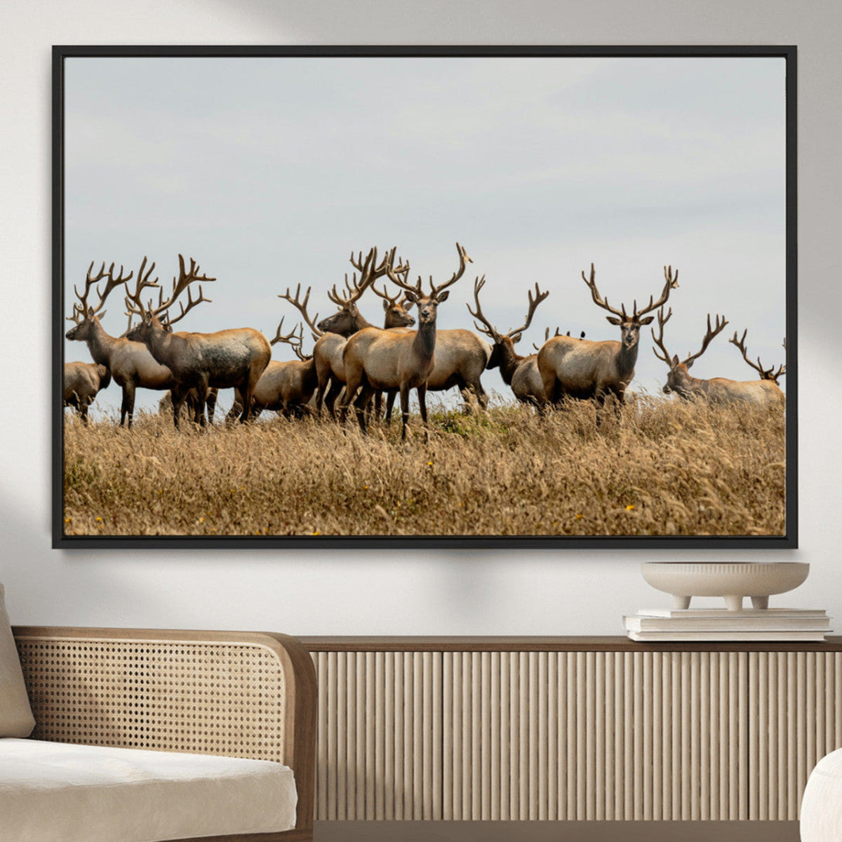 Elk Herd Wall Art Canvas Print, Framed Wildlife Photography Art, Majestic Antlers Rustic Wildlife Decor