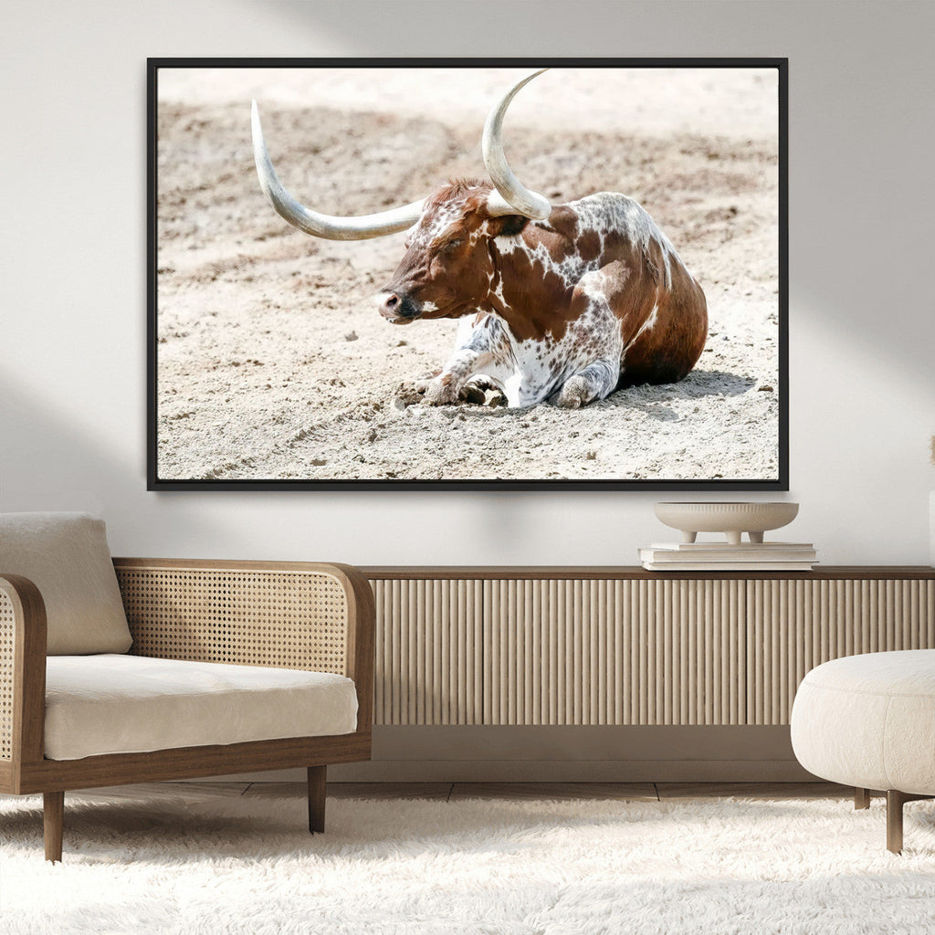 Majestic Longhorn Wall Art Canvas Print, Resting on Sunlit Desert Ground