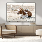 Majestic Longhorn Wall Art Canvas Print, Resting on Sunlit Desert Ground