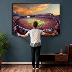 Dooley Stadium Wall Art, Sports Arena Canvas Print, Dooley Field, Framed and Ready to Hang