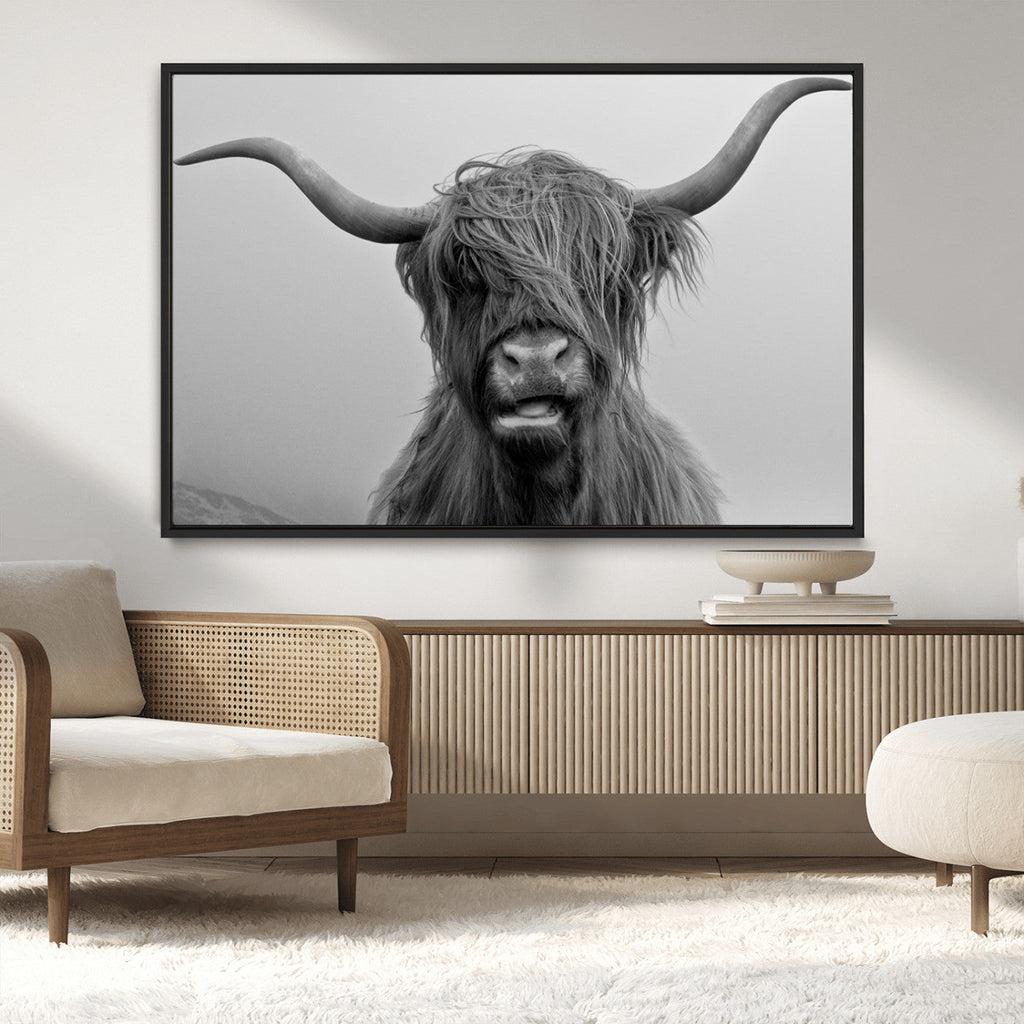 Texas Cow Wall Art Canvas, Texas Longhorn Cattle Canvas Print