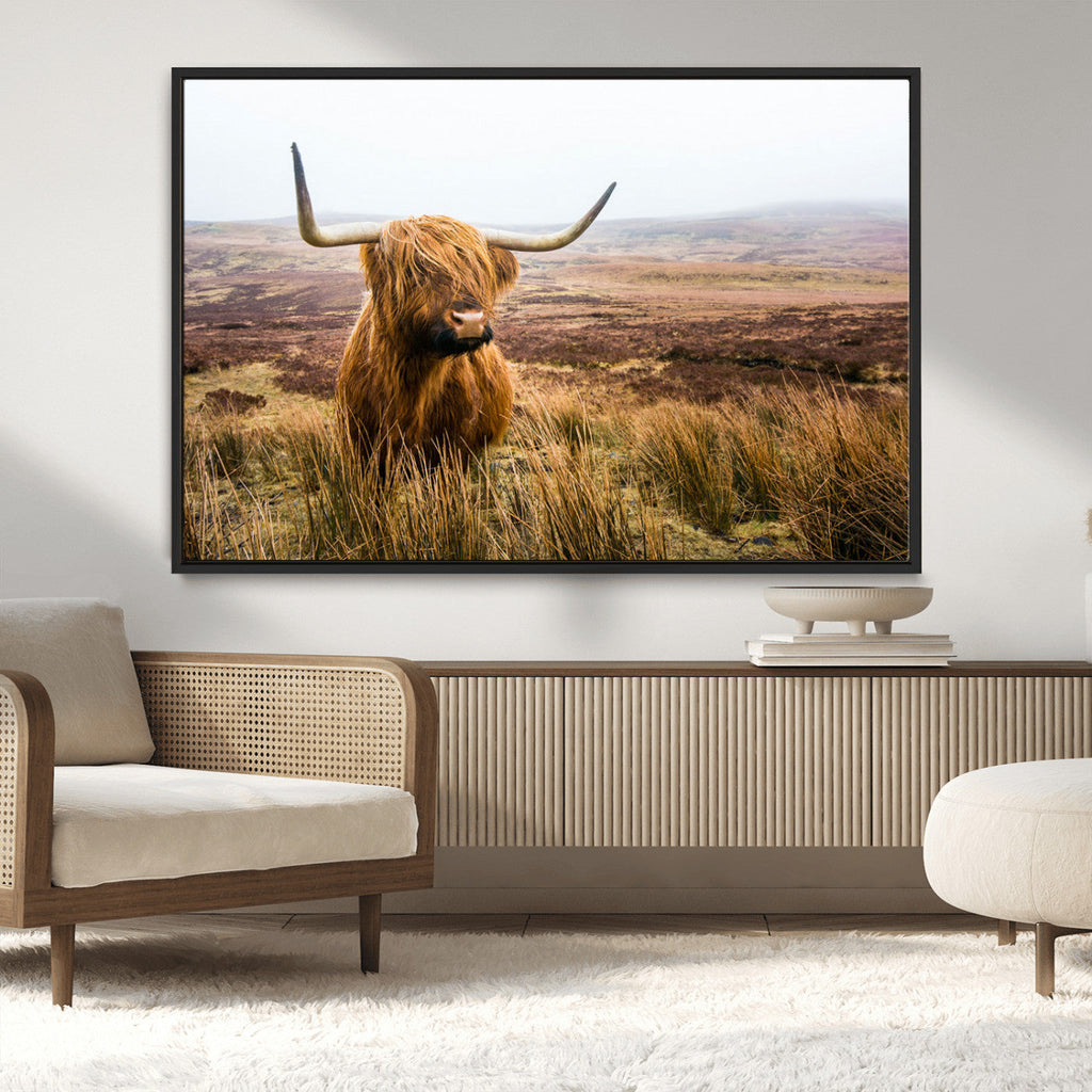 Scottish Highland Cow Canvas Wall Art, Rustic Farmhouse Decor