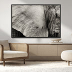Elephant Wall Art Canvas Print