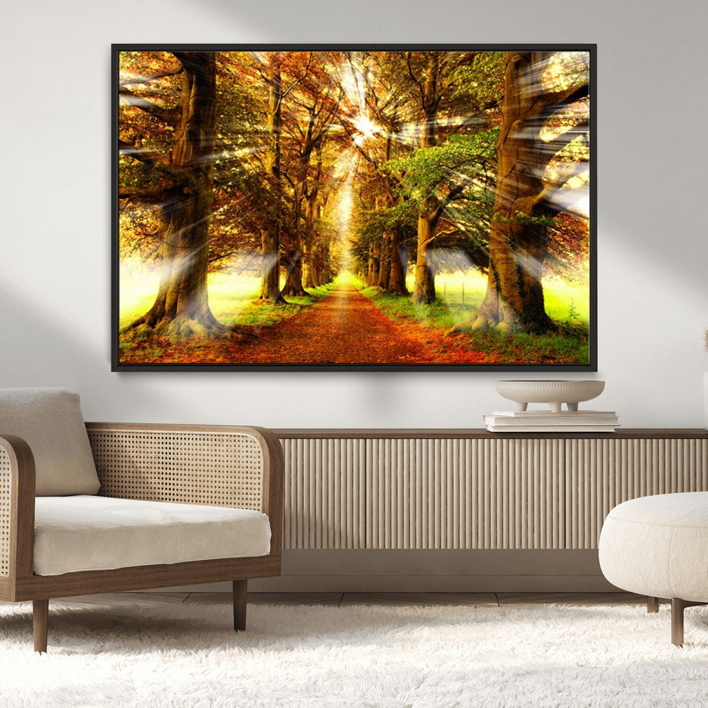 Sunshine in Forest and Trees Wall Art Canvas Print