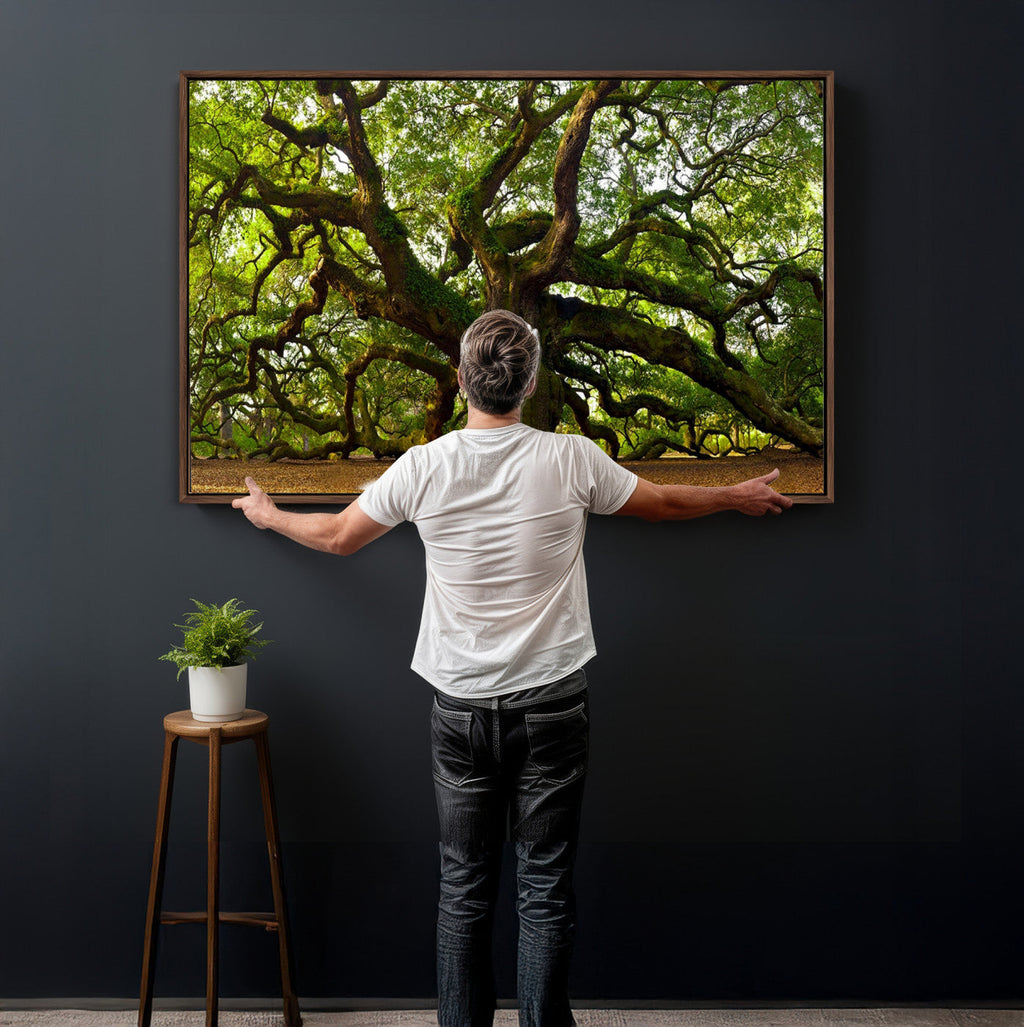 Angel Oak Tree Wall Art Canvas Print | Forest Tree Nature Photography Print