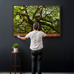 Angel Oak Tree Wall Art Canvas Print | Forest Tree Nature Photography Print