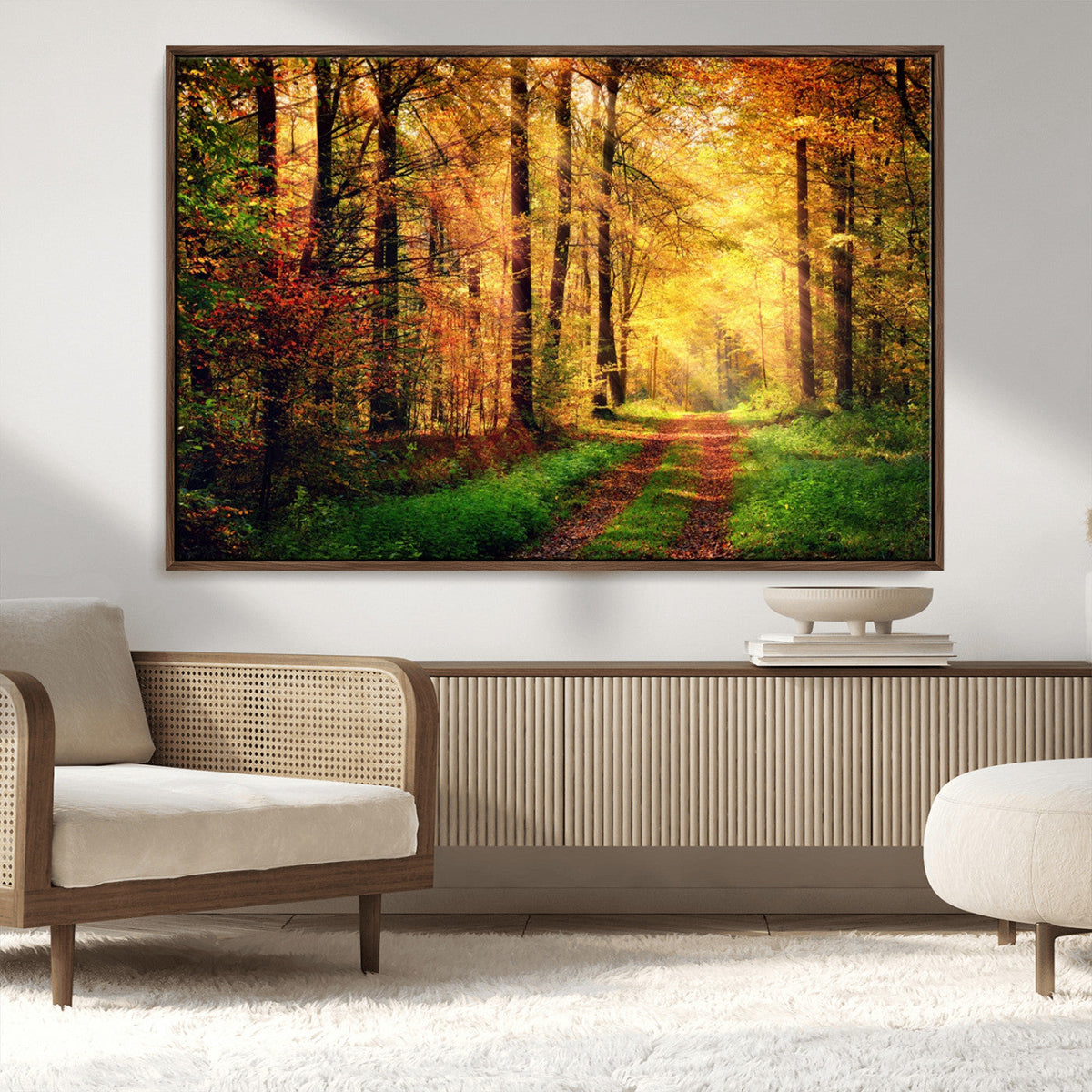 Sunlight Through Trees Wall Art Canvas Print | Autumn Forest Wall Art