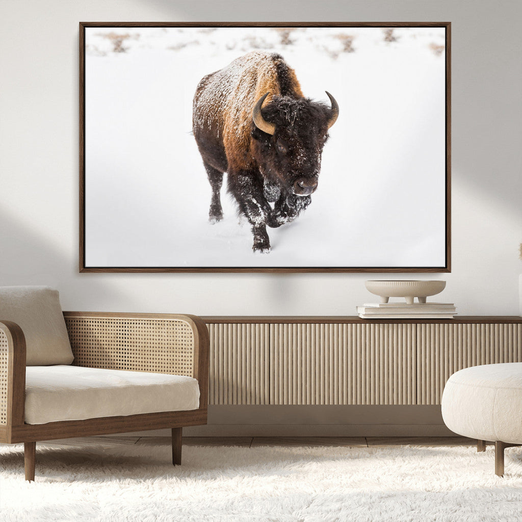 Bison Winter Wall Art Canvas Print For Farmhouse Decor