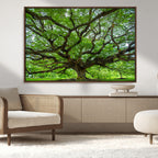 Ancient Tree Wall Art Canvas Print, Framed Sprawling Branches