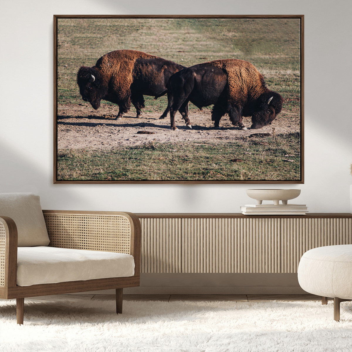 Bison Wall Art Canvas Print, Framed Western Wildlife Modern Ranch