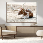 Majestic Longhorn Wall Art Canvas Print, Resting on Sunlit Desert Ground