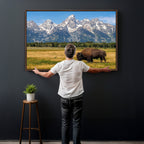 Bison in Mountain Landscape Wall Art Canvas Print, Western Decor