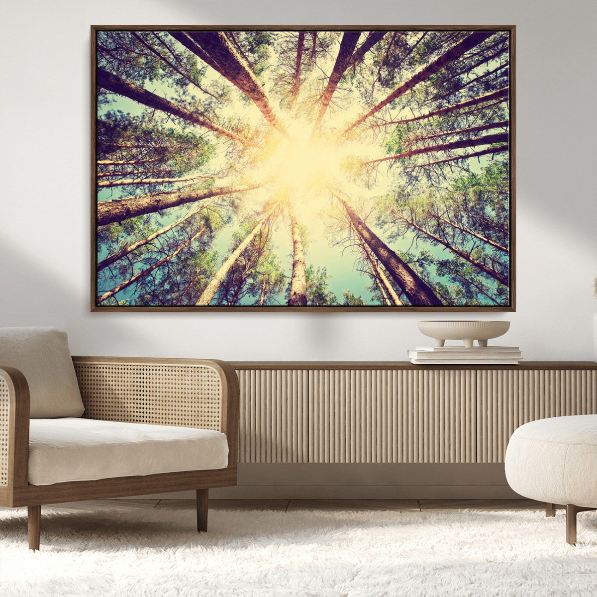 Tree and Sunshine Canvas Print