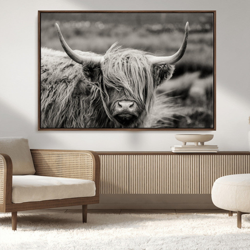 Cow Focus Canvas Wall Art Print