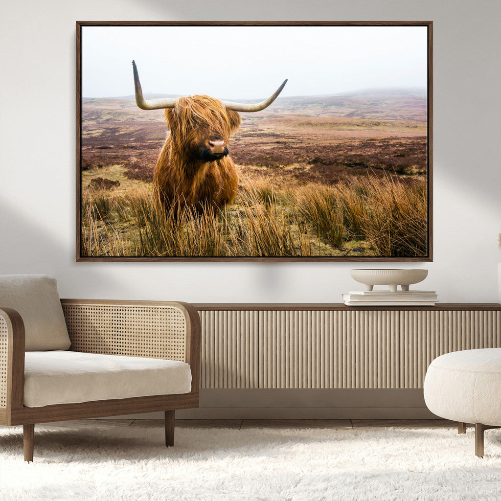 Scottish Highland Cow Canvas Wall Art, Rustic Farmhouse Decor
