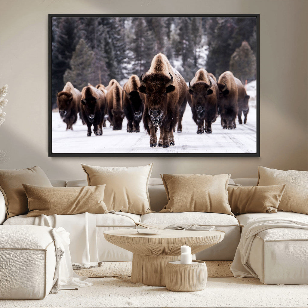 Bison Wall Art Canvas Print, Bison Herd Canvas Wall Art