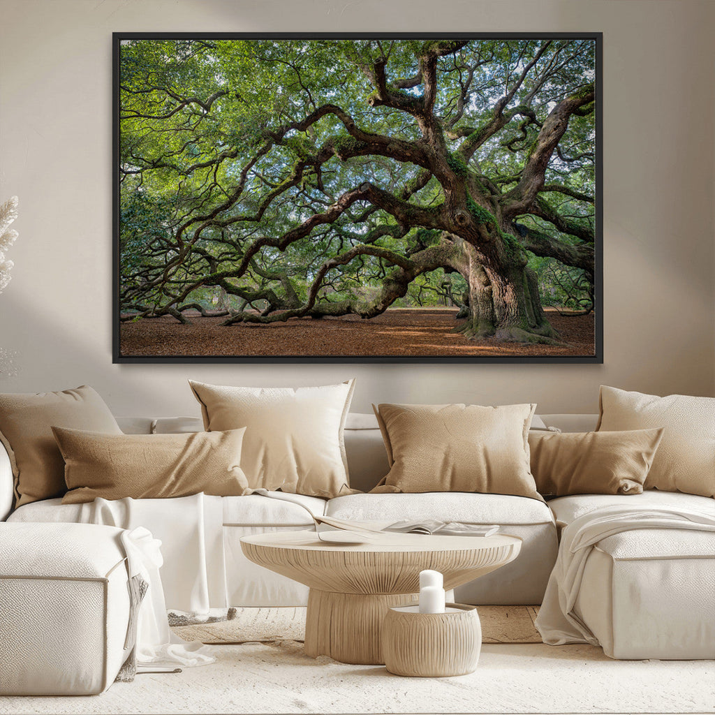 Historic Tree Wall Art | Framed Mossy Branch Canvas Artwork
