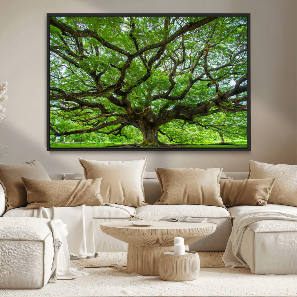 Ancient Tree Wall Art Canvas Print, Framed Sprawling Branches