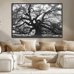 Ancient Oak Wall Art Canvas Print | Gnarled Tree with Twisted Branches