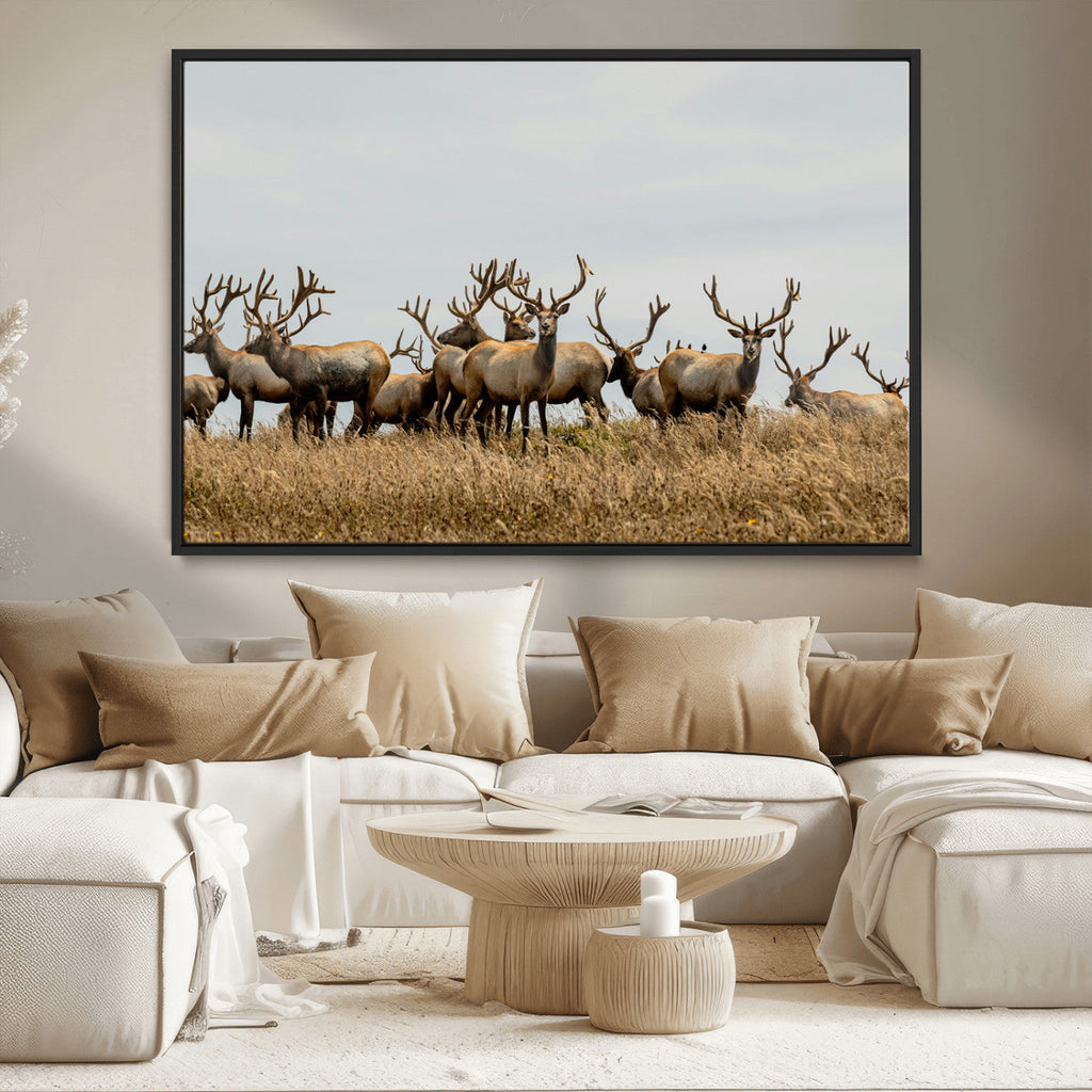 Elk Herd Wall Art Canvas Print, Framed Wildlife Photography Art, Majestic Antlers Rustic Wildlife Decor