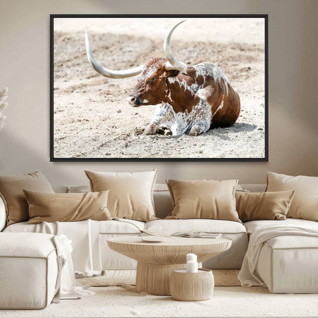 Majestic Longhorn Wall Art Canvas Print, Resting on Sunlit Desert Ground
