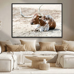 Majestic Longhorn Wall Art Canvas Print, Resting on Sunlit Desert Ground