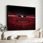 Dooley Stadium Wall Art, Sports Arena Canvas Print, Dooley Field Sanford Stadium