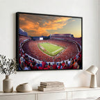 Dooley Stadium Wall Art, Sports Arena Canvas Print, Dooley Field, Framed and Ready to Hang