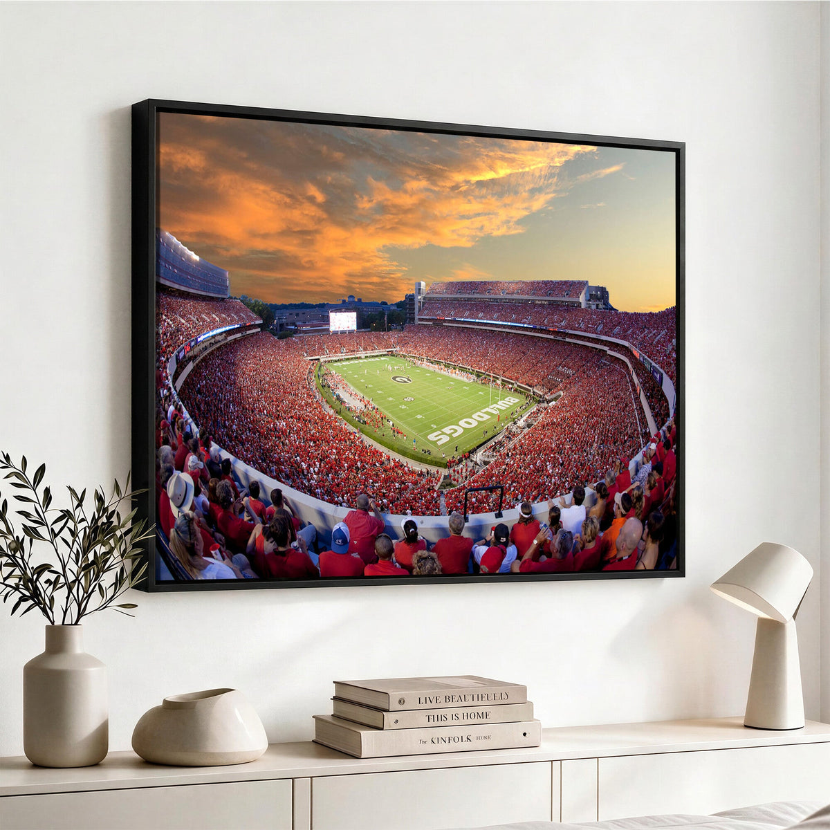 Dooley Stadium Wall Art, Sports Arena Canvas Print, Dooley Field, Framed and Ready to Hang