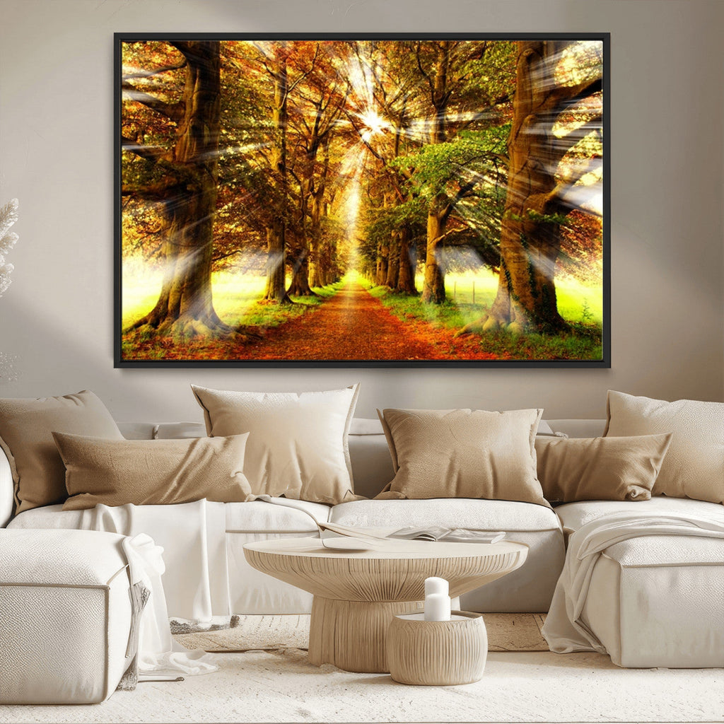 Sunshine in Forest and Trees Wall Art Canvas Print