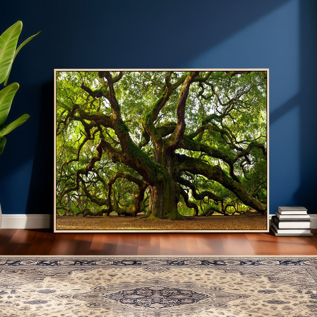 Angel Oak Tree Wall Art Canvas Print | Forest Tree Nature Photography Print