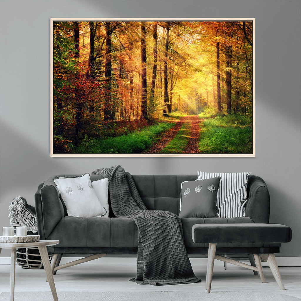 Sunlight Through Trees Wall Art Canvas Print | Autumn Forest Wall Art