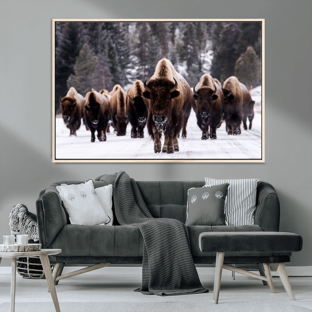 Bison Wall Art Canvas Print, Bison Herd Canvas Wall Art